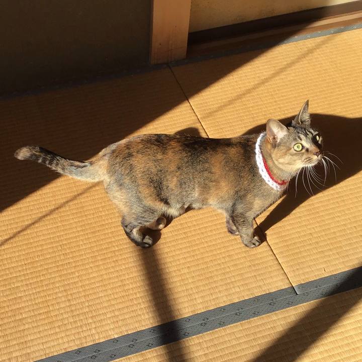 7b0bfa87 088b 4de7 8022 e5bf7cc518c8 1609464289574