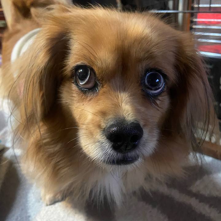 7b0c432e 3abc 43ed a9cc e2dc5e12229d 1640037342812