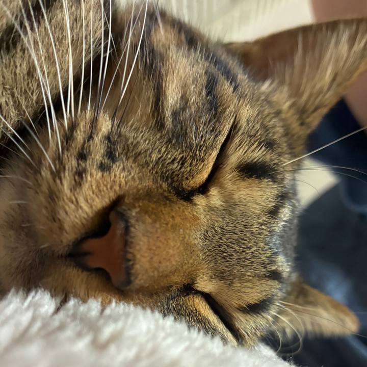 7b0c4564 37ce 4de6 bafe 5b2c1bcd84e1 1758972332995