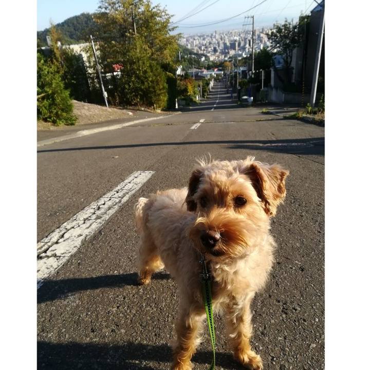 7b0c5479 4b4e 440a a655 5b7165f245df 1569632384366