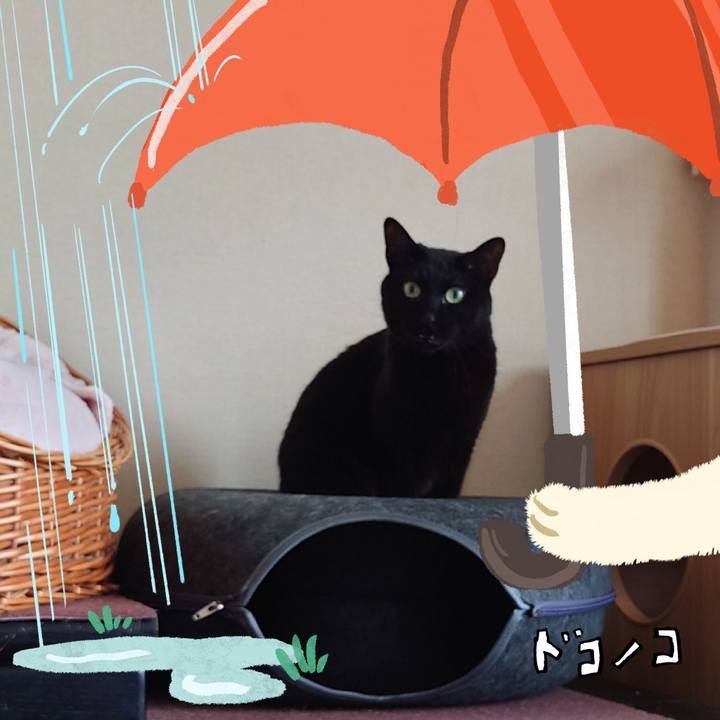 7b0c70a1 72a9 48eb 80df b602110b6578 1749178536760