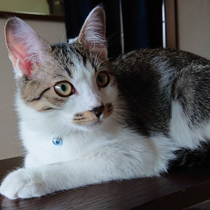 7b0c8296 4d55 42c9 8086 0eb94998cf8f 1551575484355