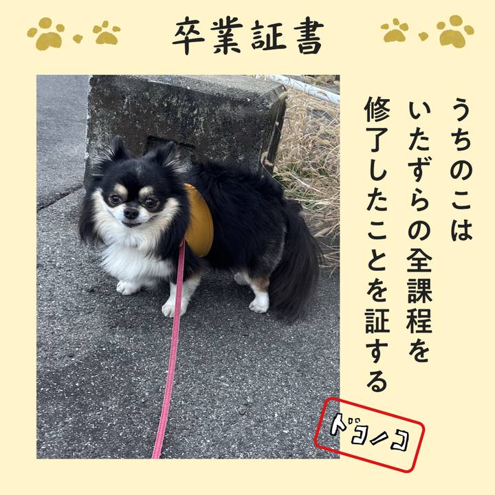 7b0c8fe7 ca5a 46ff 8011 c0e855f41c6b 1771922353654