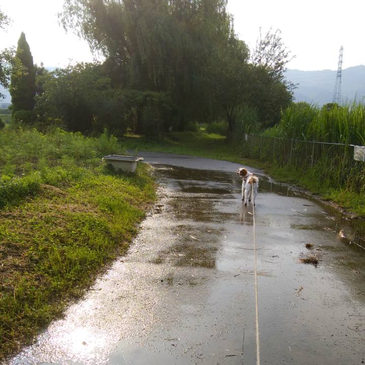 7b0cb695 7f21 406c abd1 a8f5cc8aeebf 1528503241119