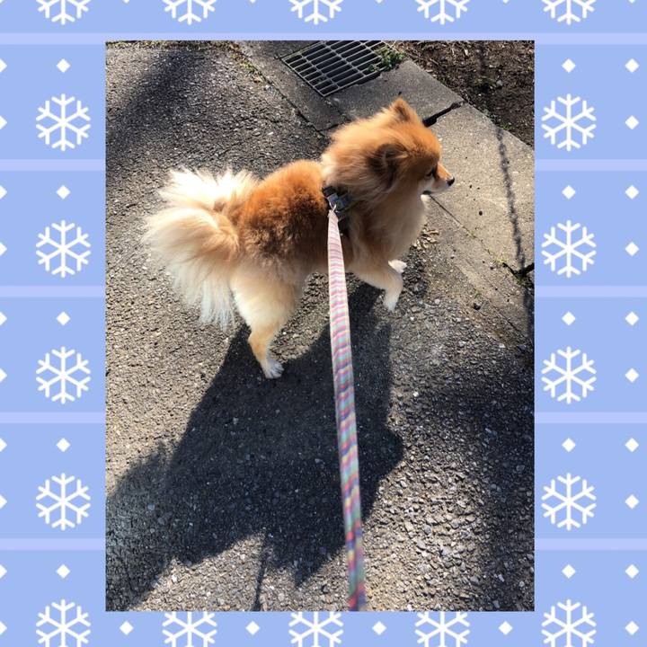 7b0cf661 feee 4cd3 a323 250650bb3462 1579614387571