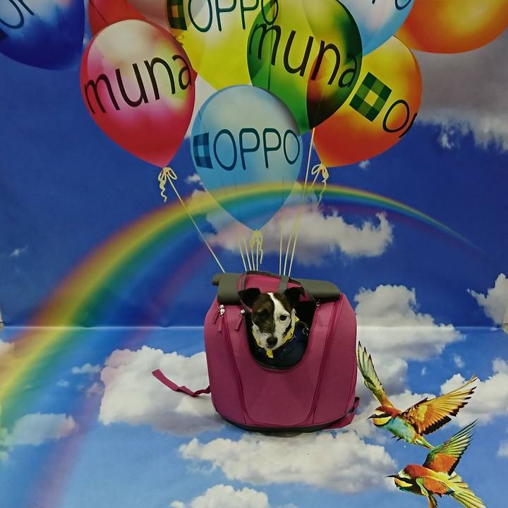 7b0d2c11 2737 484a afe4 9c75eaed45d8 1522498715463