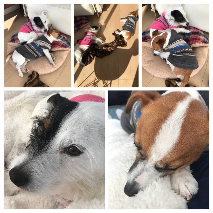 7b0d335a 7bbc 4b2c a6c8 f6599bd4d9b0 1518070484227