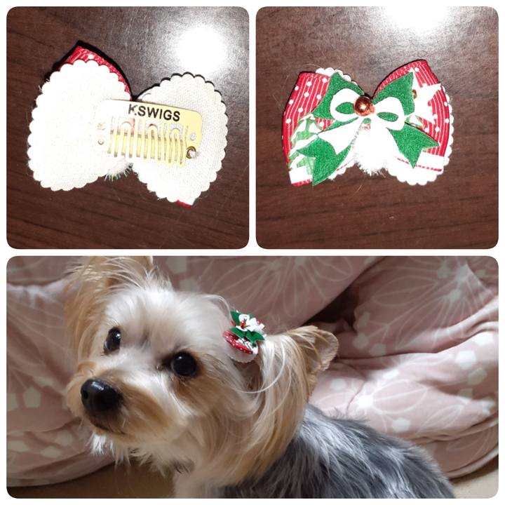 7b0d4d9b 71e5 48f8 9a55 78ae41530ae3 1576060370738