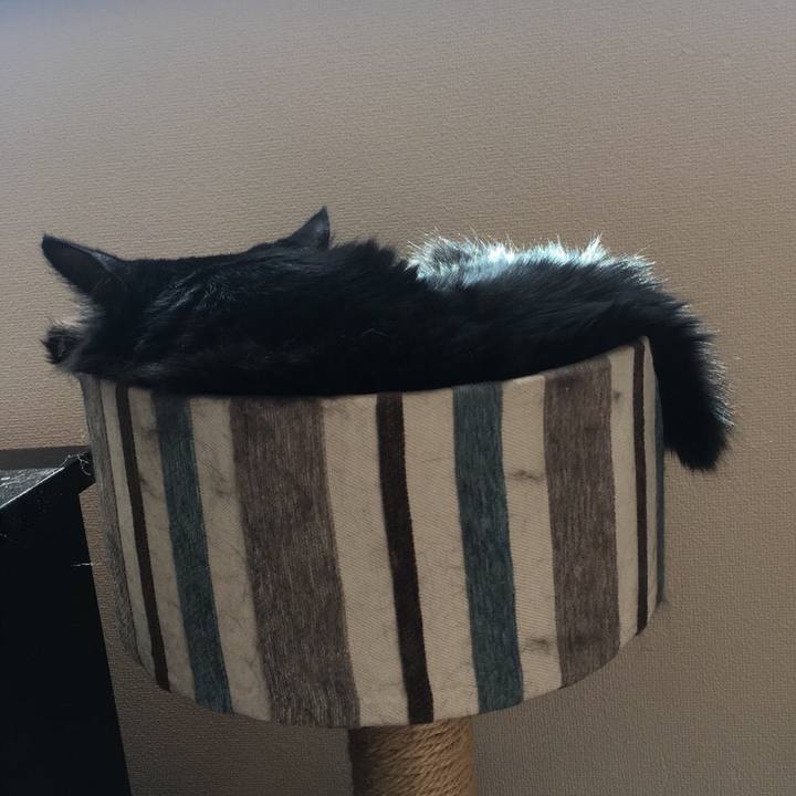 7b0d60ad 857b 4009 aa47 11f1f157062b 1529993833030