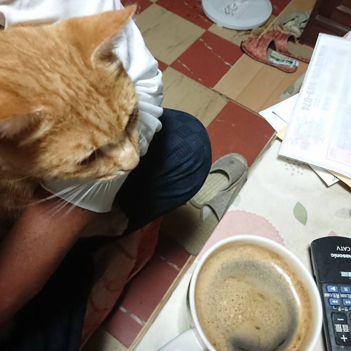 7b0d610e 36b4 47eb b634 7156f727c2cf 1596830222920