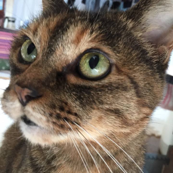 7b0d62ab 0fac 4b8f ae16 e4e58e9004cf 1520385879634