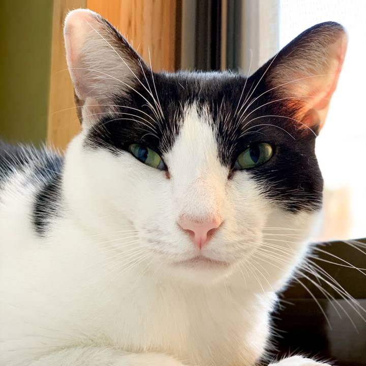 7b0d7d18 587b 4b44 99c5 bdfe19b053d0 1539049104798