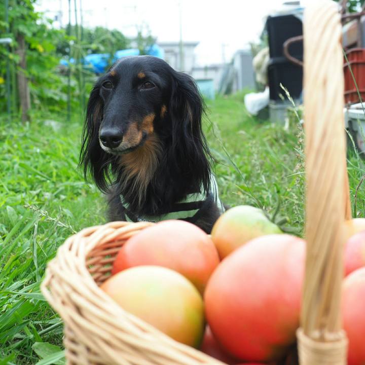 7b0d9683 30dd 4419 9de6 03f8351fd895 1562129715951