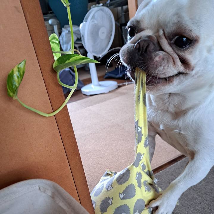 7b0d96cf 3390 4022 b893 15e84fe8ca31 1690005269141