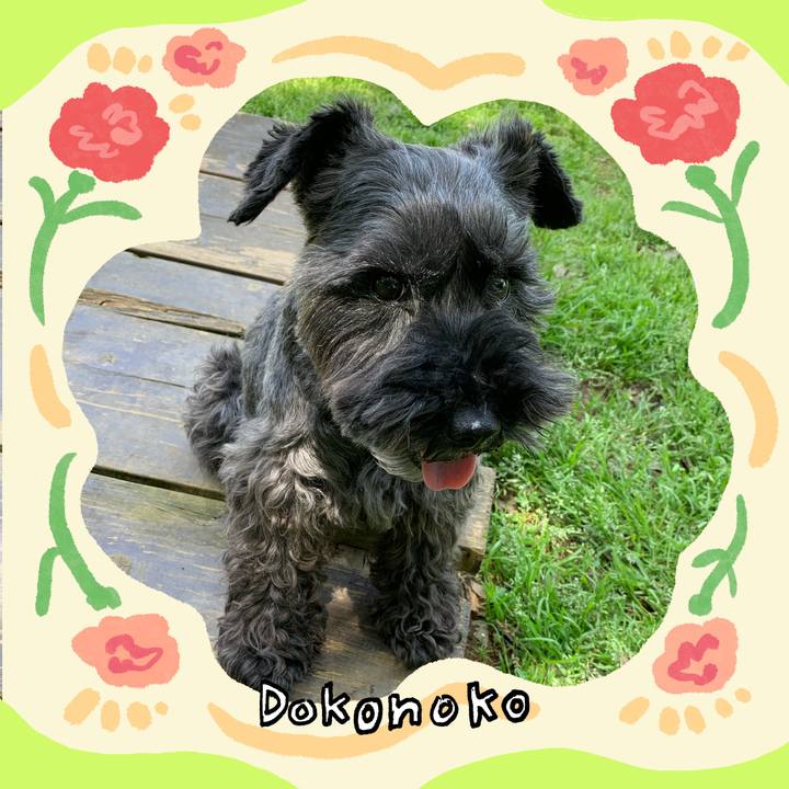 7b0dd1d4 5dfb 4814 9835 36a2b568d3ba 1714985252690