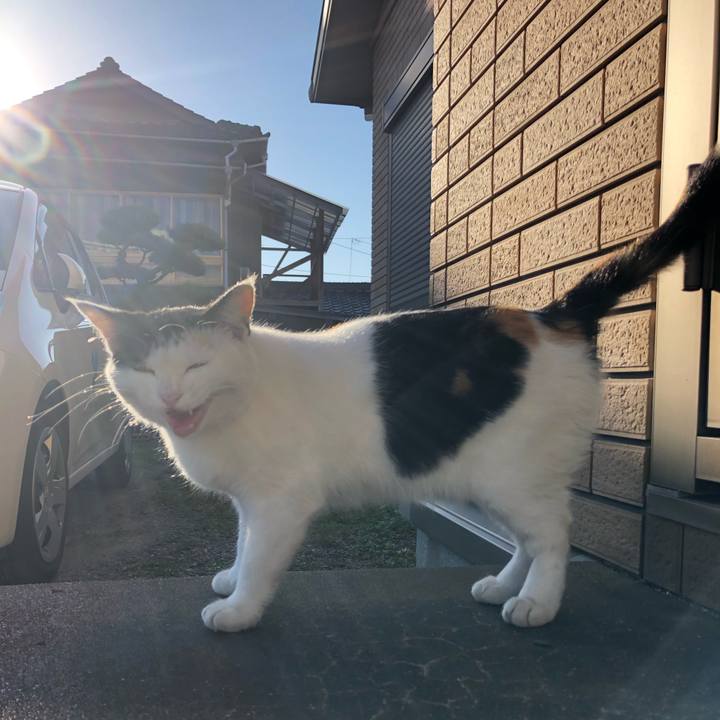 7b0ddd53 f507 448a 8870 40cda23f7901 1603582035735