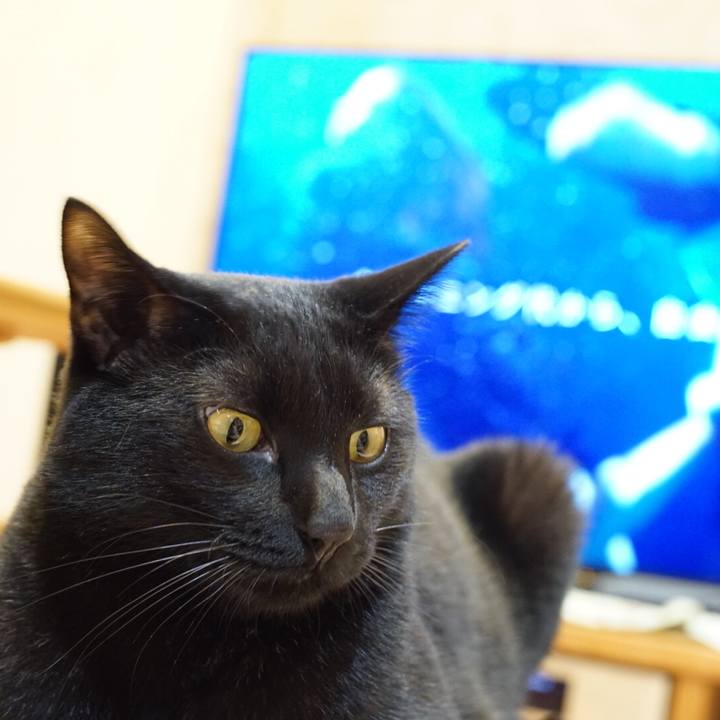 7b0df217 ab93 4219 9f6e b4bbab62b88c 1529020173238