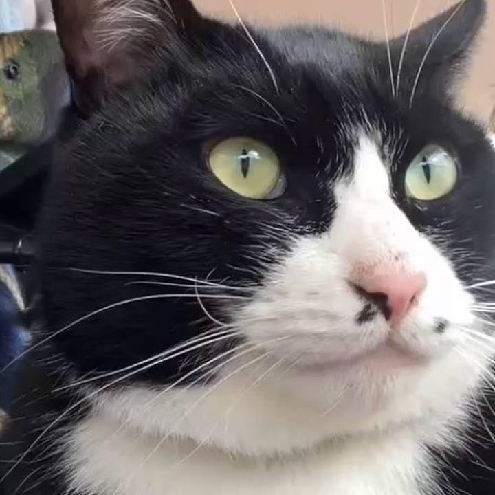 7b0e0a1d 99ea 4450 bbab d3aa6a9b1b2f 1739065969944