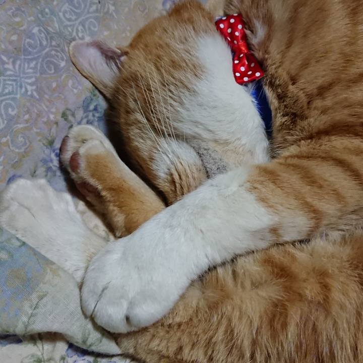 7b0e8b73 aed3 4720 b655 ccf79d4c7264 1576409467381