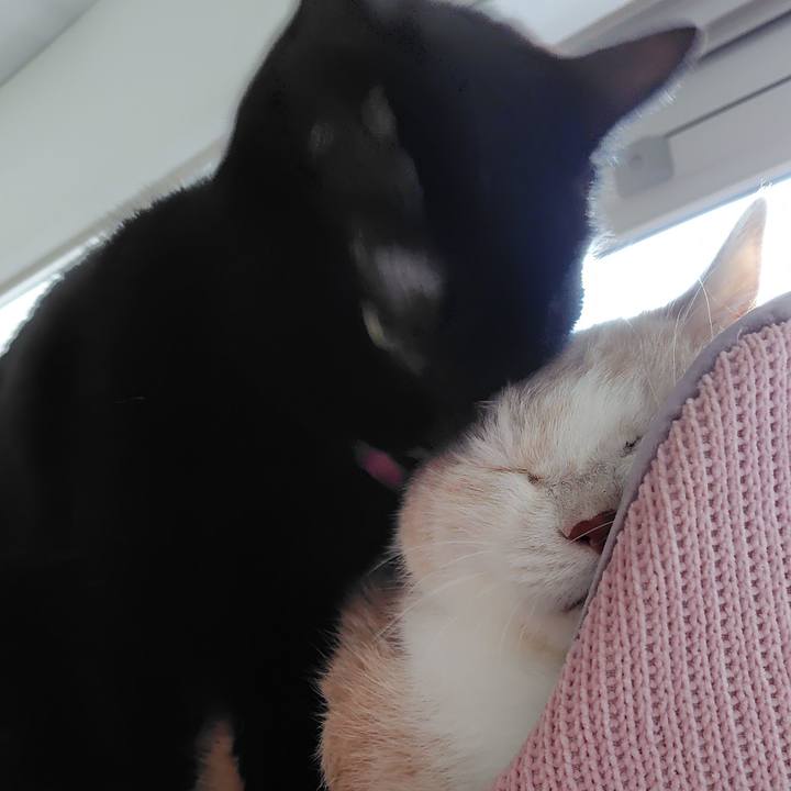 7b0ef3d9 82c3 4273 ba5f 5eb44ce4737b 1764195752587