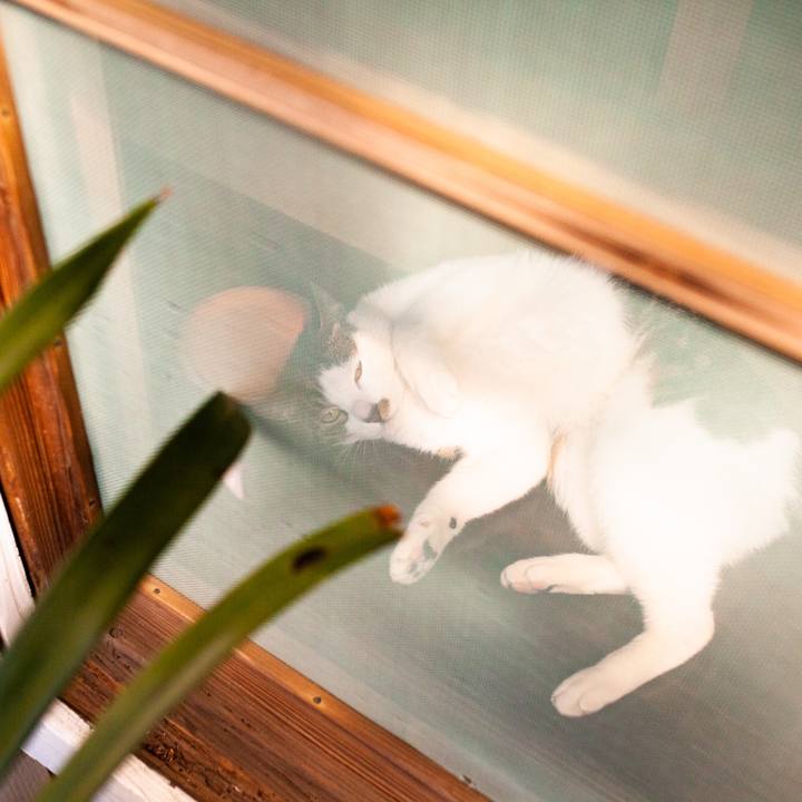 7b0f402a c036 431a 9f53 82ebc9cc7356 1552881670541