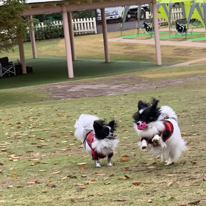 7b0f721d 8beb 4d73 b1c8 723eac2807a2 1542866068201