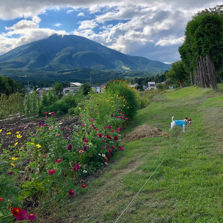 7b0f9d72 7861 4edd ad13 5c9a44fa50dc 1599902548460