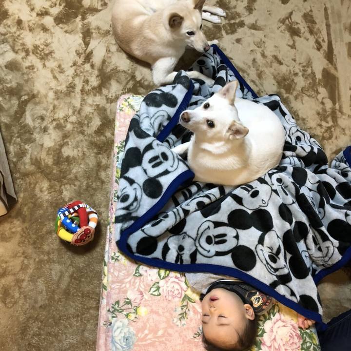 7b0fc973 6bbc 4b3a 8c6a 002449018e53 1519976525983