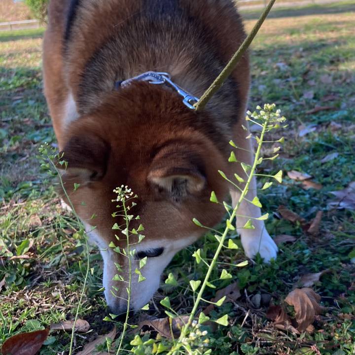 7b0fea1d 6801 4c3c b2f8 73cbcc721b59 1670403143145