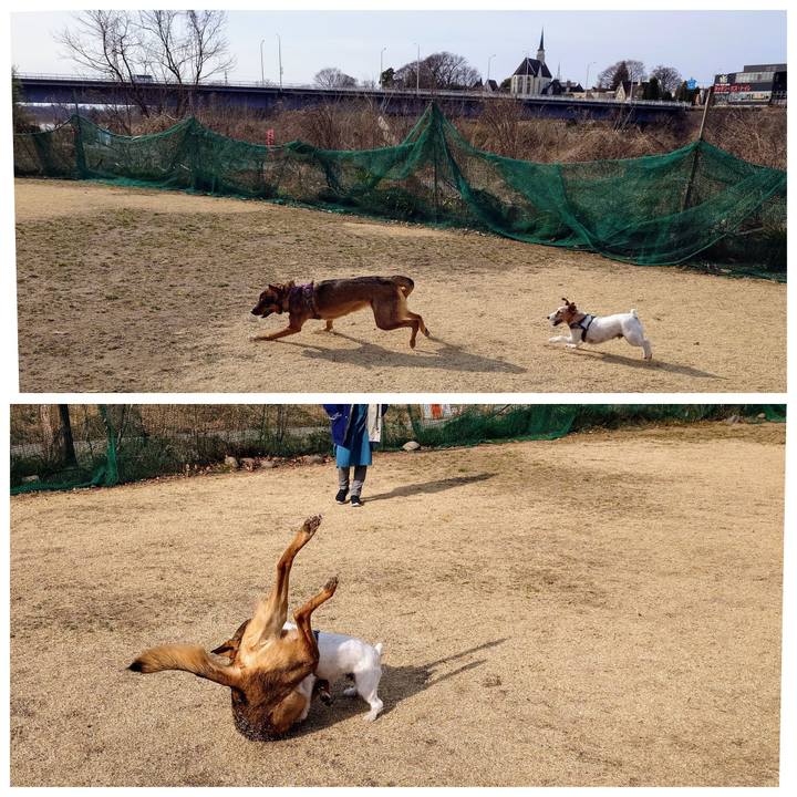 7b0feb53 402c 4c91 a473 27ebc33bcde3 1741998665716