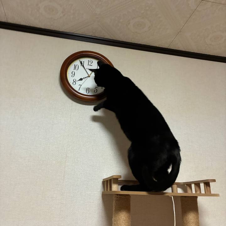 7b104b9f 55a6 440a 84ae aa5f815bea52 1768387991647