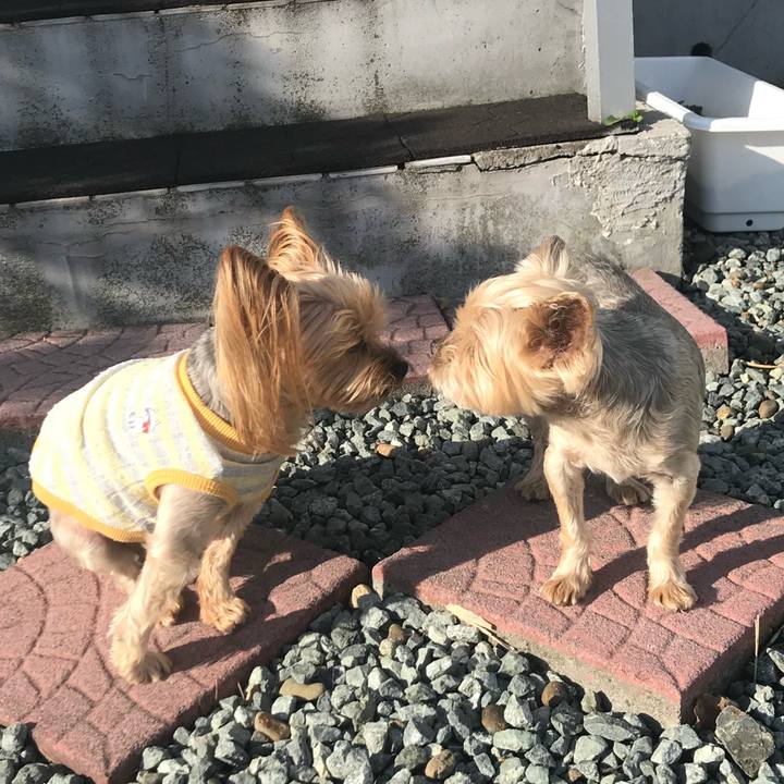 7b104c47 8a14 478b afe1 d6aca4b49cef 1727690142061