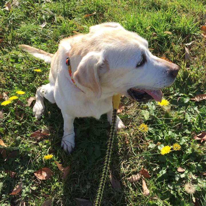 7b107ed7 33bb 4de6 9e4c 217917b6d56c 1542514316674