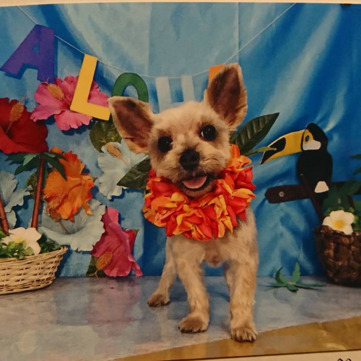 7b108e4d 7cc0 4ddf bddd 4b9a8a4473c3 1535198707621