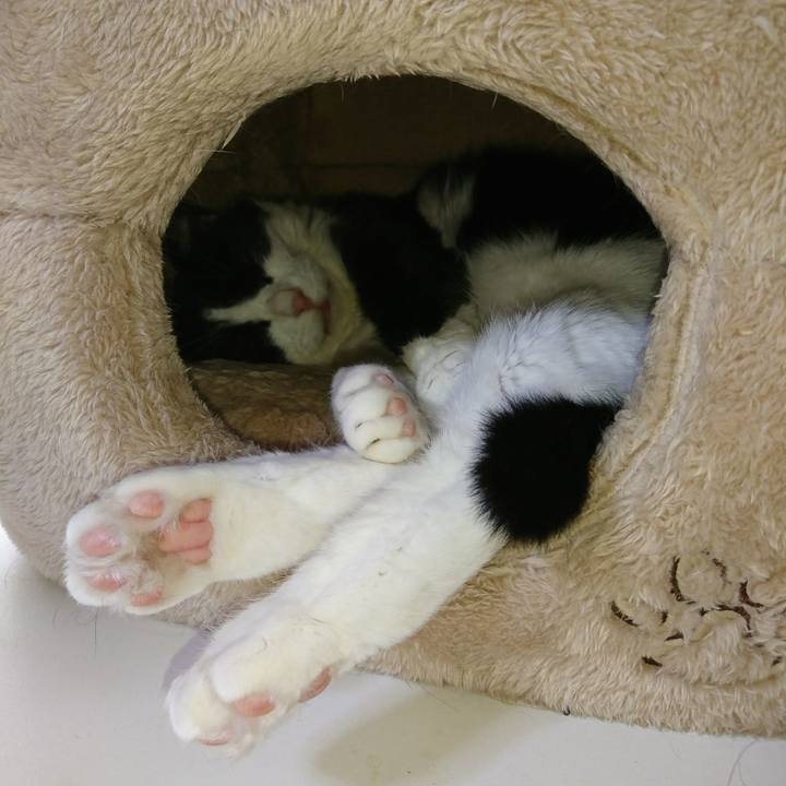 7b1095e1 d66e 4cc3 908c 9d6b0e9f8e5a 1572760220249