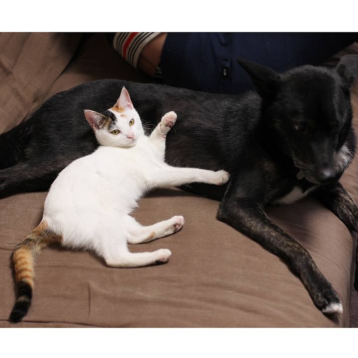 7b10a000 da3a 45e6 b784 a950b30765fa 1550573993191