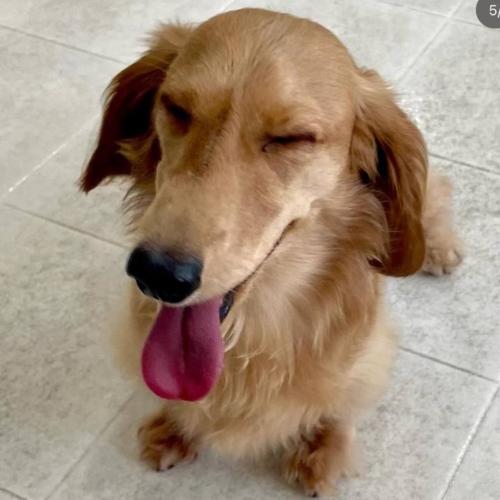 7b10a456 05e9 4b65 8544 dbade8352042 1723350038830