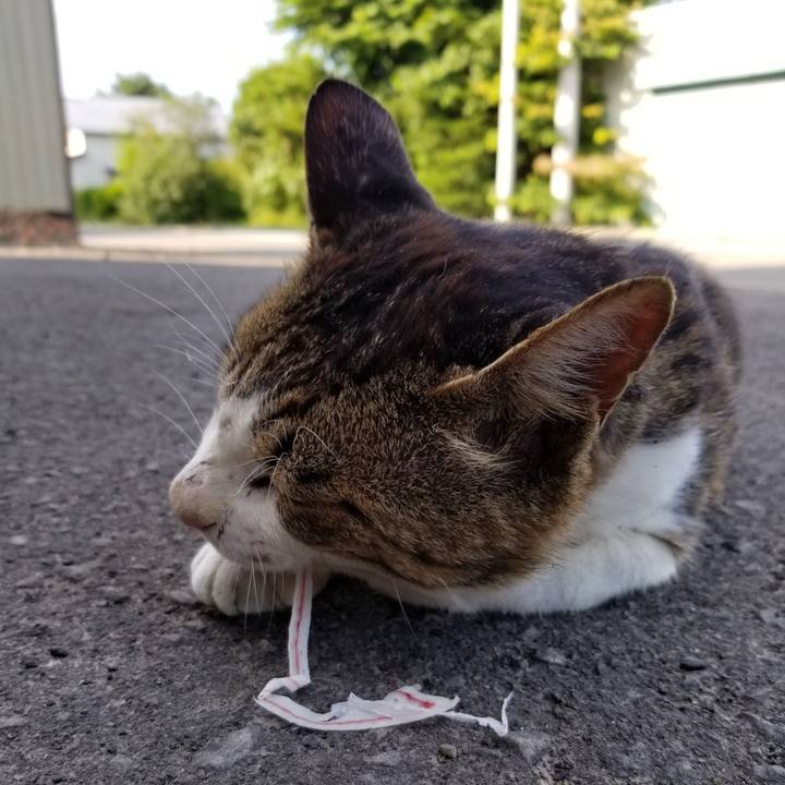 7b10bc3b 24d4 4ec2 a1d7 ece66b7cedd1 1595050948084