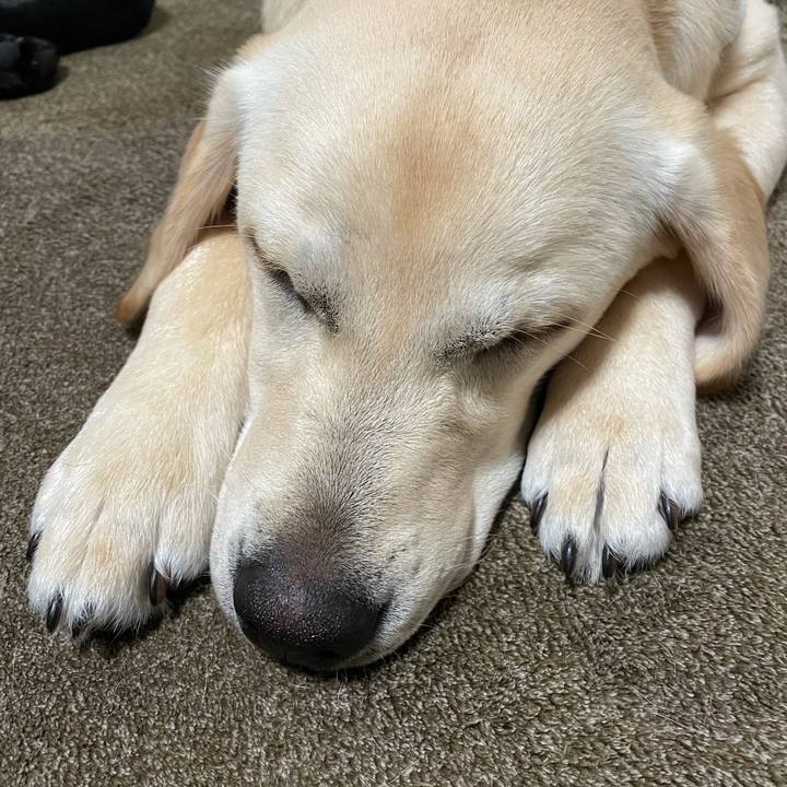 7b10dfff 383e 4bb6 b8a7 a970f417c035 1621601296048