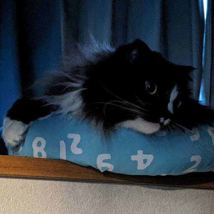 7b10e588 45c4 47fd 9132 3b6944b383c5 1700777162420