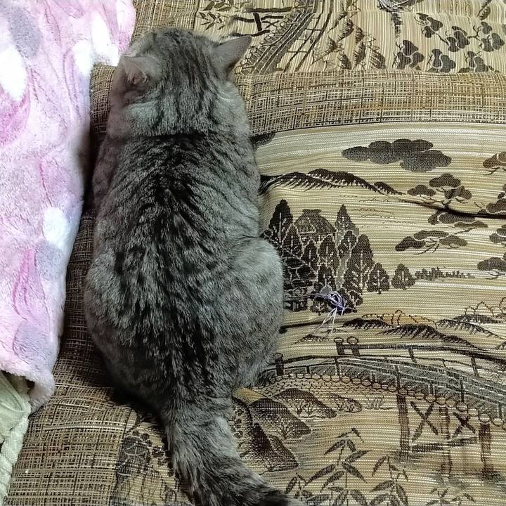 7b1114bd d4f8 434a a67f 231e26617be4 1579786841805