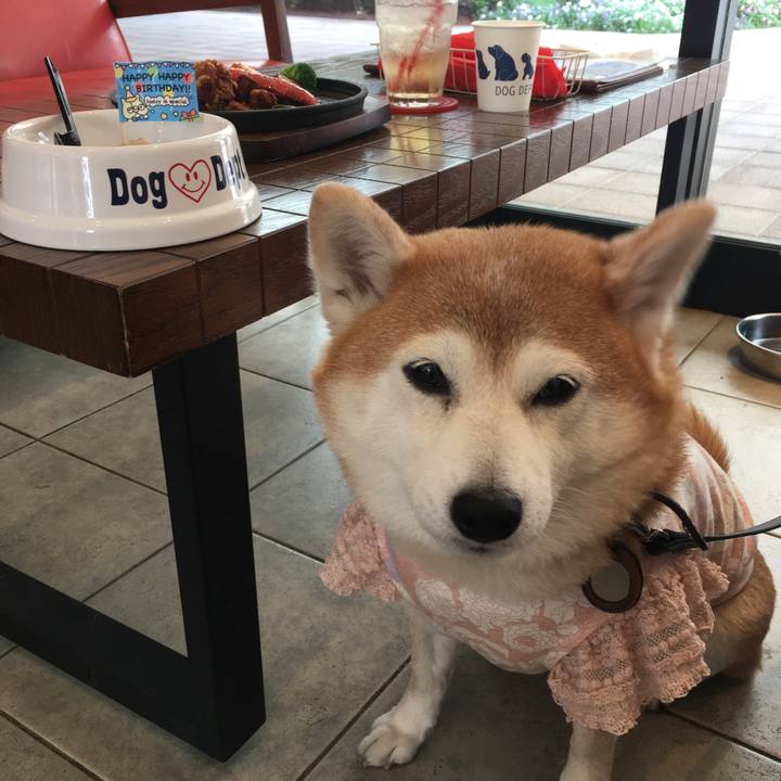 7b1122db 4e74 4241 9c23 83d3fd8b9009 1523687387147