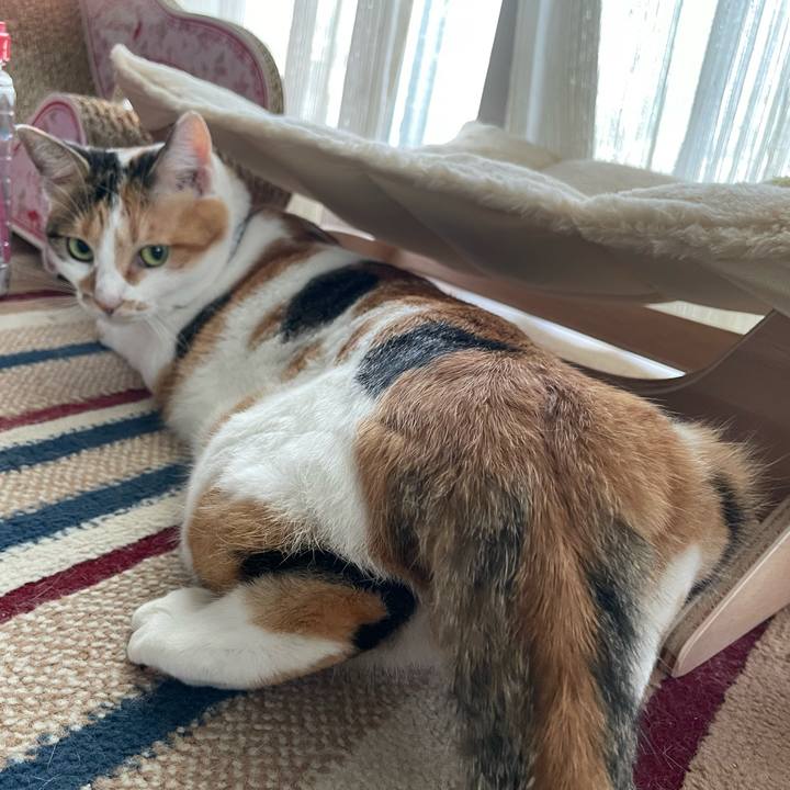 7b1147d3 e88e 412a a10c fc584cf45821 1725593992274