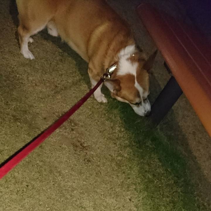 7b117402 b00c 4322 a95c a0b677cf00e0 1606135675344