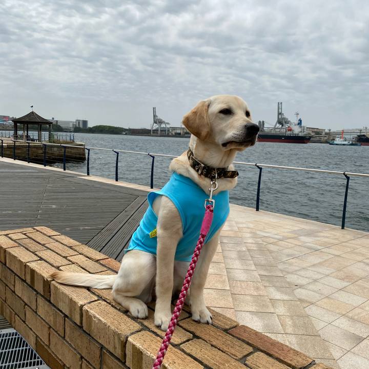 7b118fbf 2acf 41e0 b1ed 1112832e0de3 1620626124269