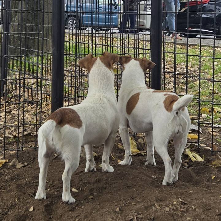 7b11ac18 0f82 401b 8929 8351af32632a 1763903413054