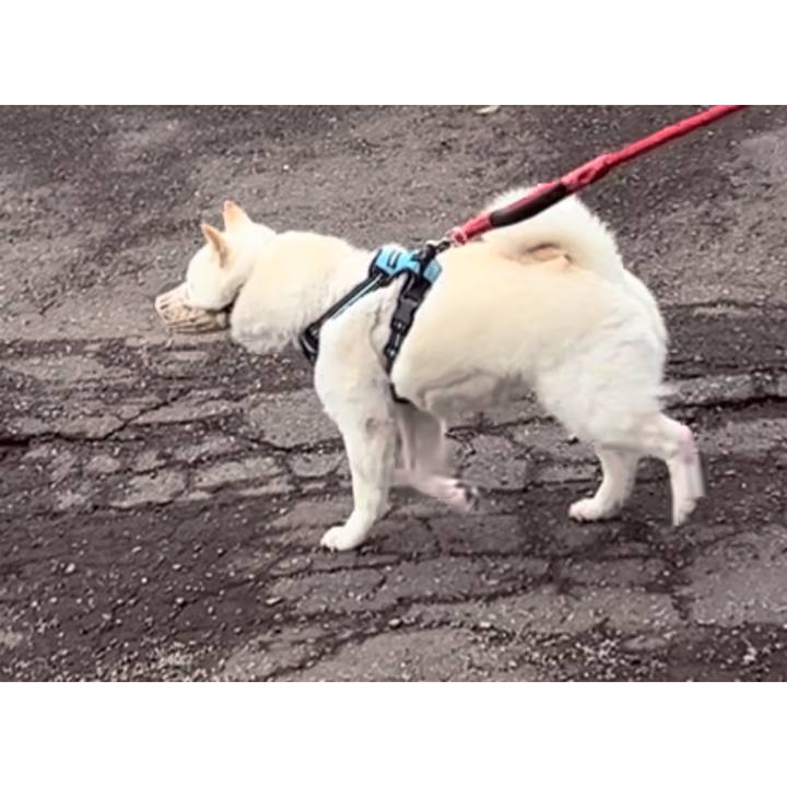 7b11b726 b671 4a18 90a6 3e905412ecd3 1684107983889