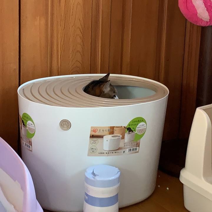 7b11e558 291b 4126 90e6 f163a4bbf443 1570920825510