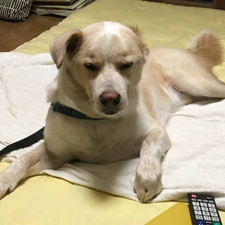 7b11fce4 8f8b 4d0b 86df c2cc87f955f2 1530279977389