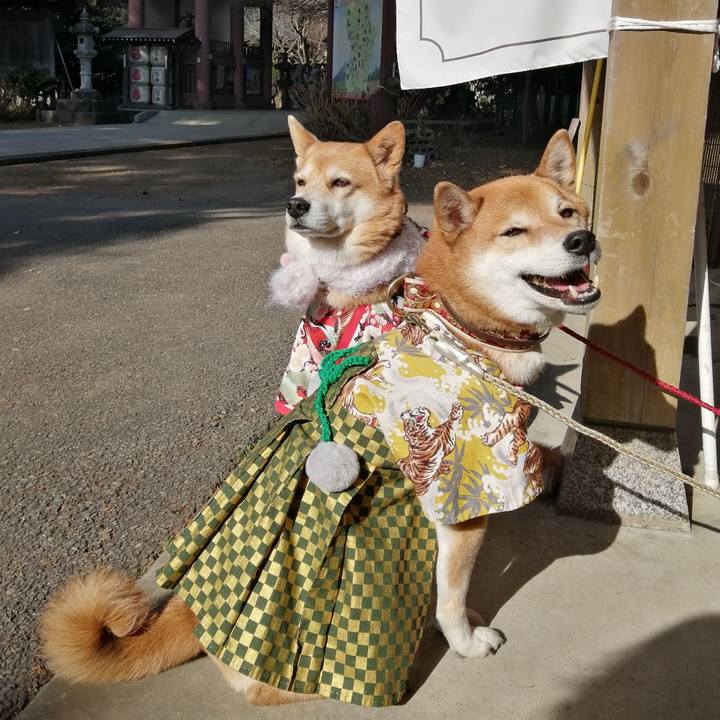 7b120698 da94 4902 ae50 10a0c78f2832 1673616367380